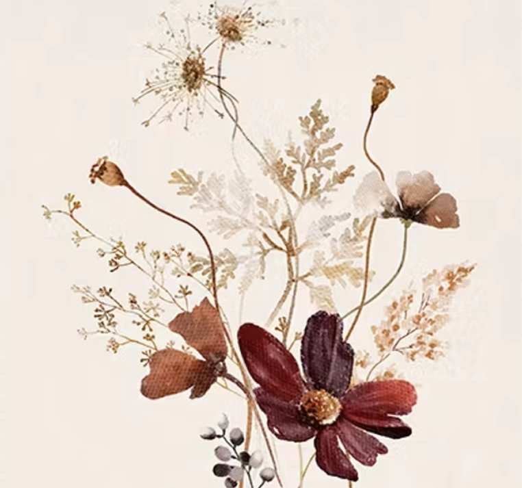 Photo de plantes et ingrédients bruts utilisés dans les formulations Les Merveilles sans Nom : camomille, romarin, sauge, lavande… Récoltés et sélectionnés pour leurs bienfaits, ils sont à la base de chaque soin préparé.